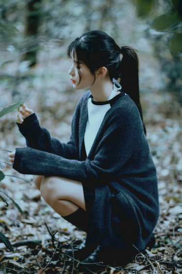 大明王朝惊变录
