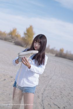 双狼电影2024在线观看